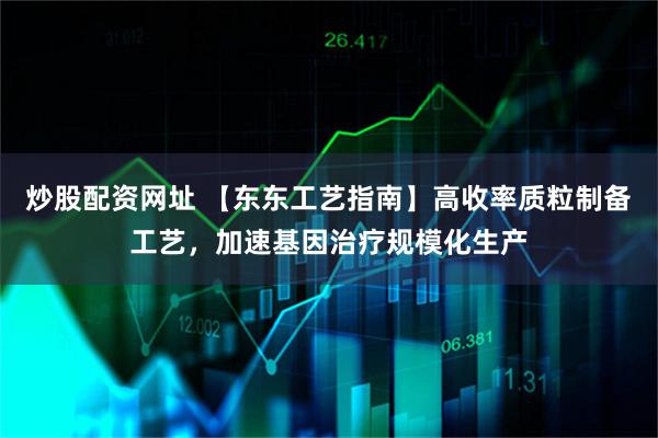 炒股配资网址 【东东工艺指南】高收率质粒制备工艺，加速基因治疗规模化生产