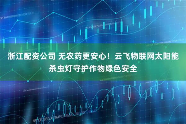 浙江配资公司 无农药更安心！云飞物联网太阳能杀虫灯守护作物绿色安全