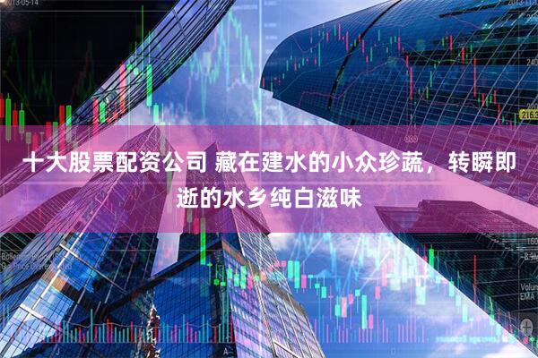 十大股票配资公司 藏在建水的小众珍蔬，转瞬即逝的水乡纯白滋味